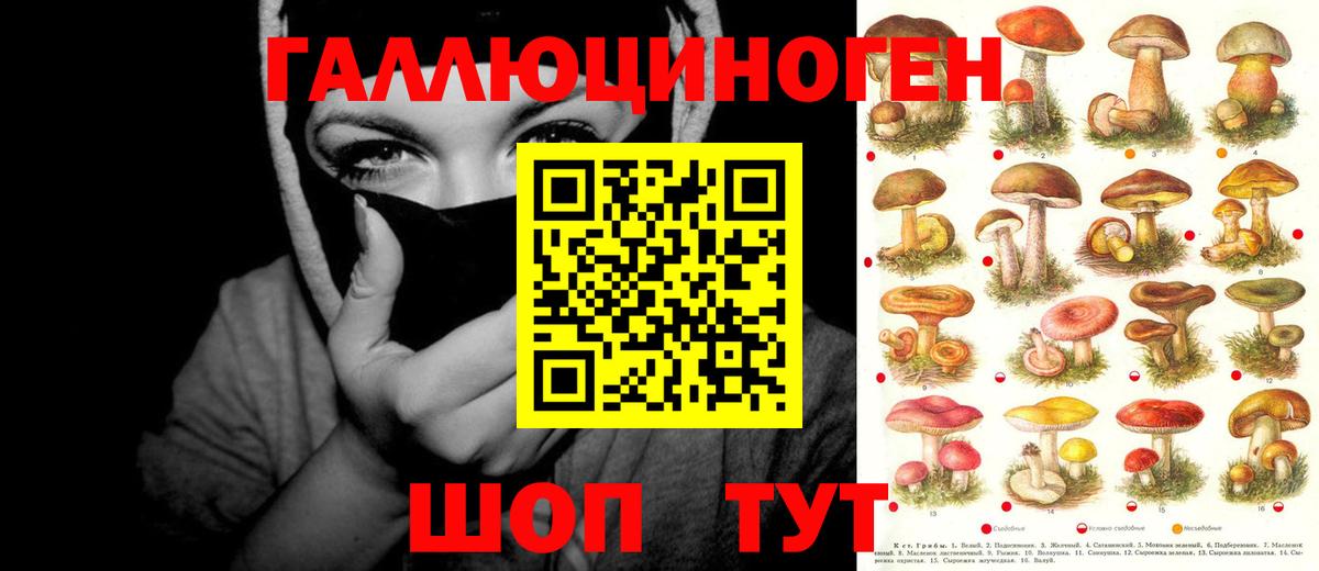 Галлюциногенные грибы мицелий Великий Новгород