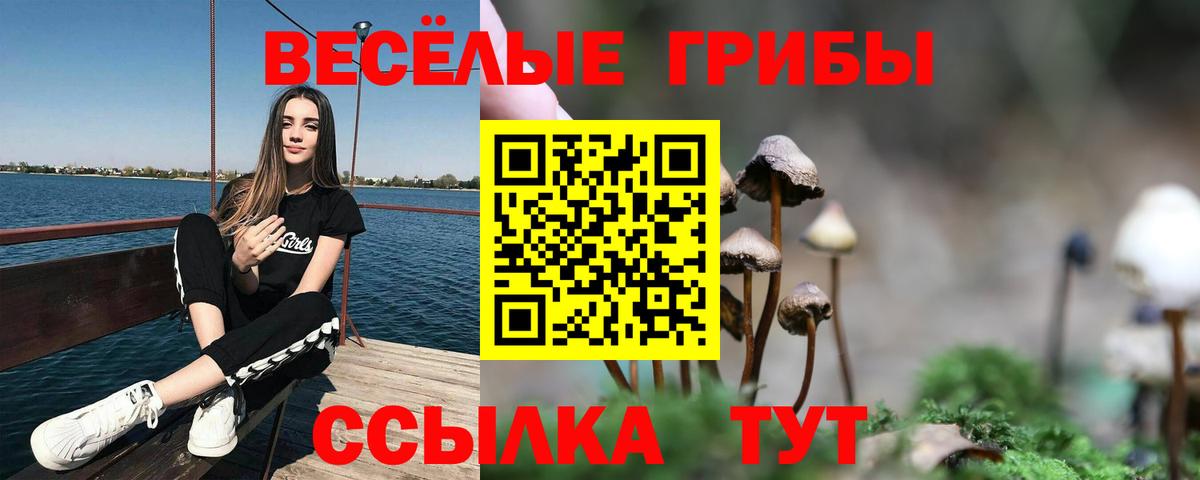 где найти   Вход с VPN  Великий Новгород  Галлюциногенные грибы MAGIC MUSHROOMS 